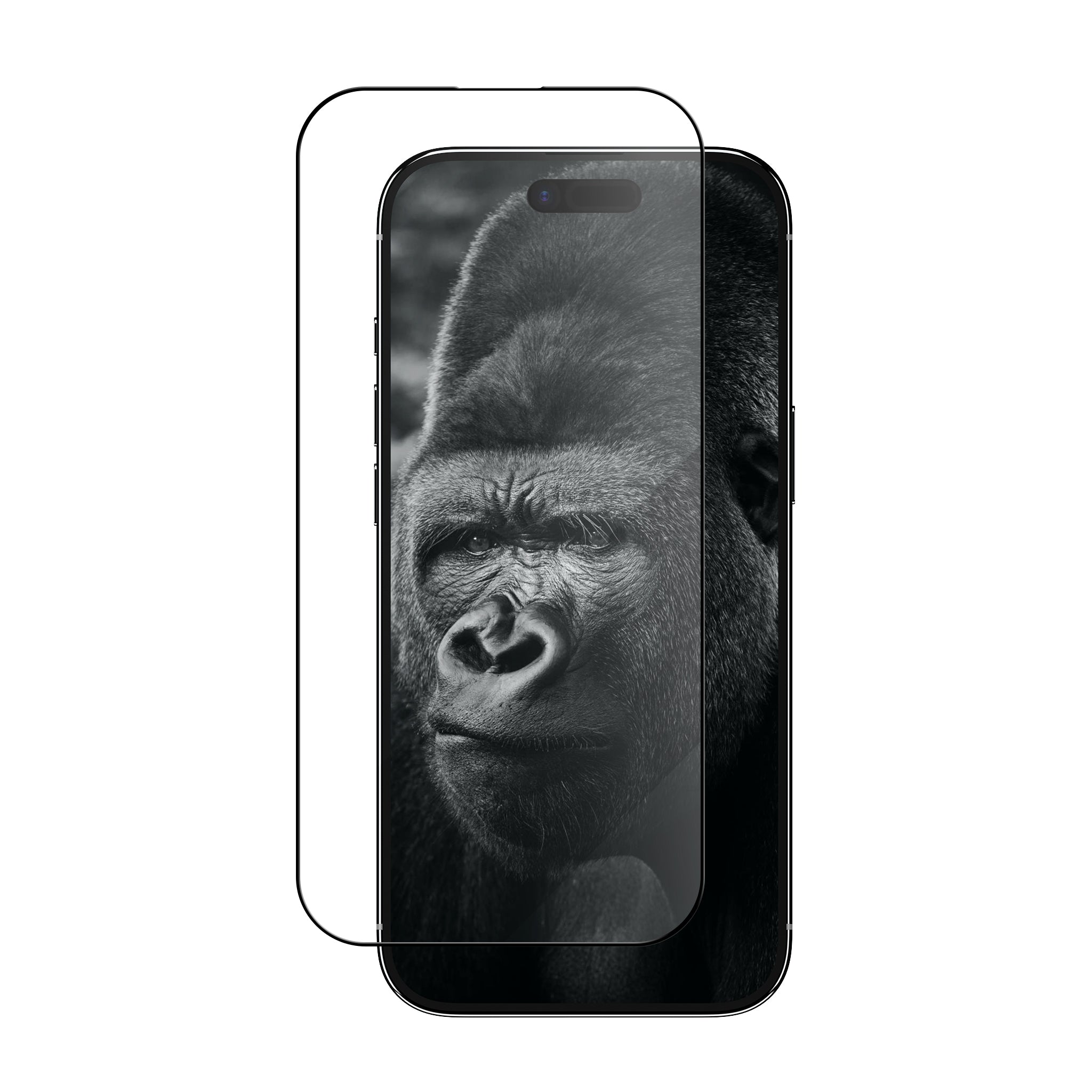 Protecteur d’écran en verre de confidentialité Preserver pour iPhone 15