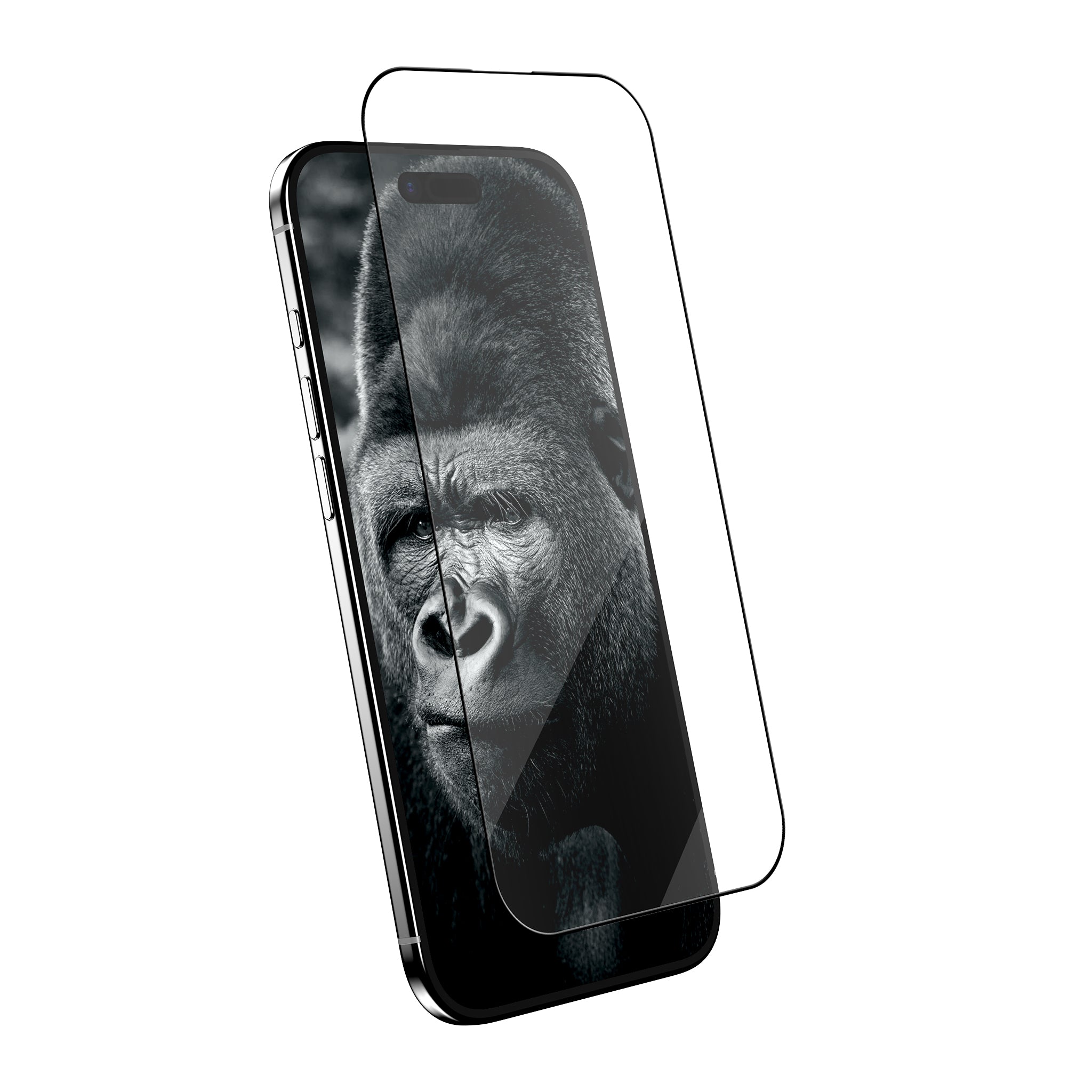 Protecteur d’écran en verre de confidentialité Preserver pour iPhone 15